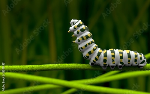 White caterpillar marco photo 3D model 3Drendering