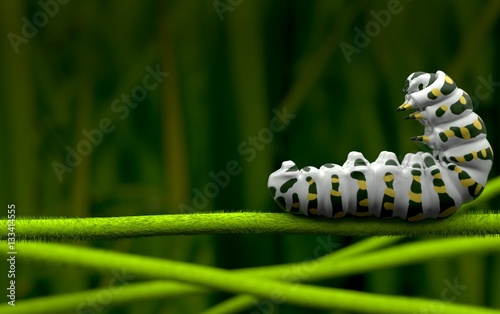 White caterpillar marco photo 3D model  3Drendering © TeacherX555