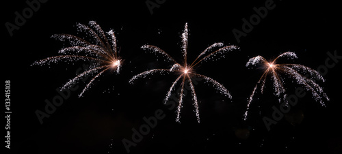 Quadro su tela Feu d'artifice