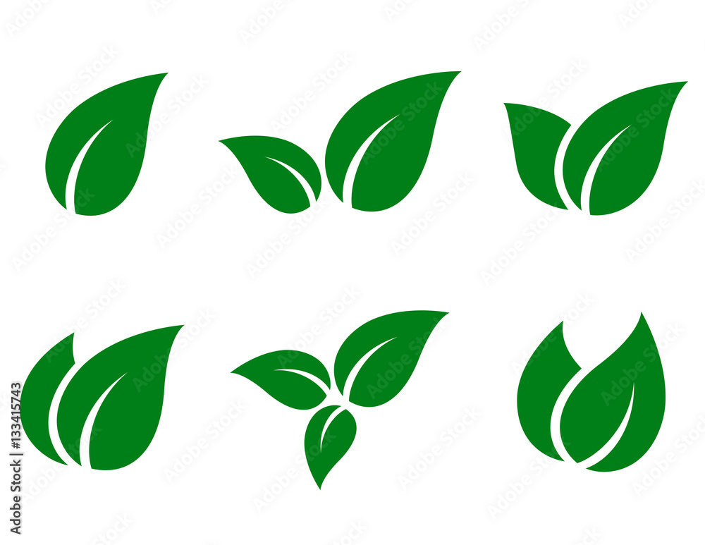 Plakat zestaw ikon zielonych liści