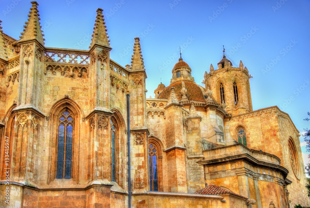 Cathedral of Tarragona in the evening. Catalonia, Spain Cathedral of Tarragona in the evening. Catalonia, Spain