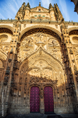 Façade de la cathédrale de salamanca, Espagne 