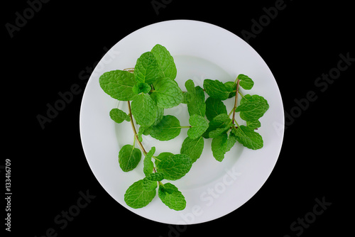 Plate of fresh mints on black background