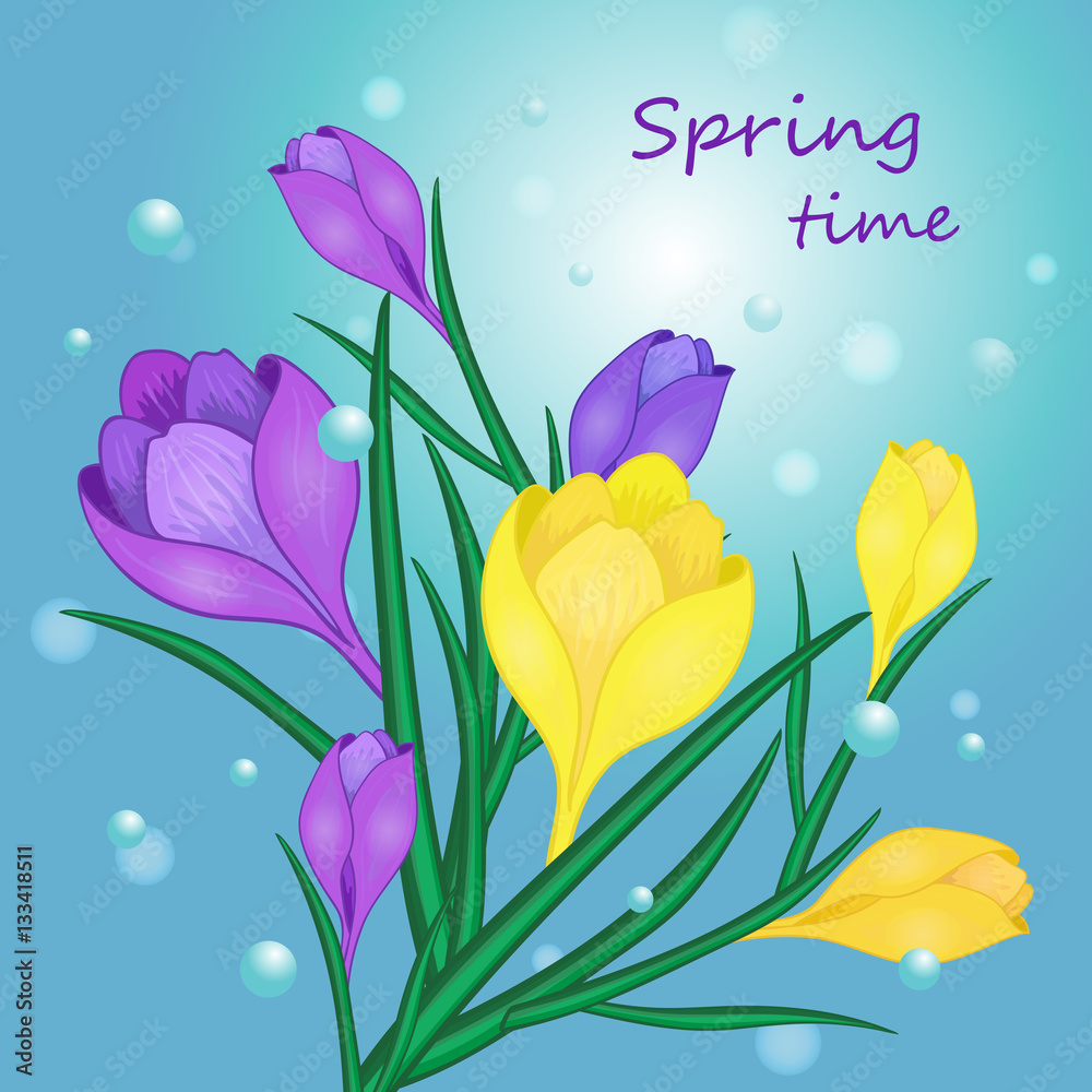 spring time flower- 01