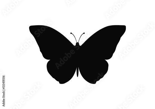 Butterfly silhouette vector icon isolated on white