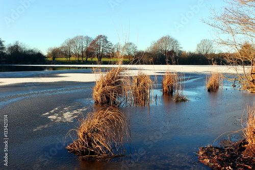 Schilfgras im winterlichen Einfelder See © joerghoffmann