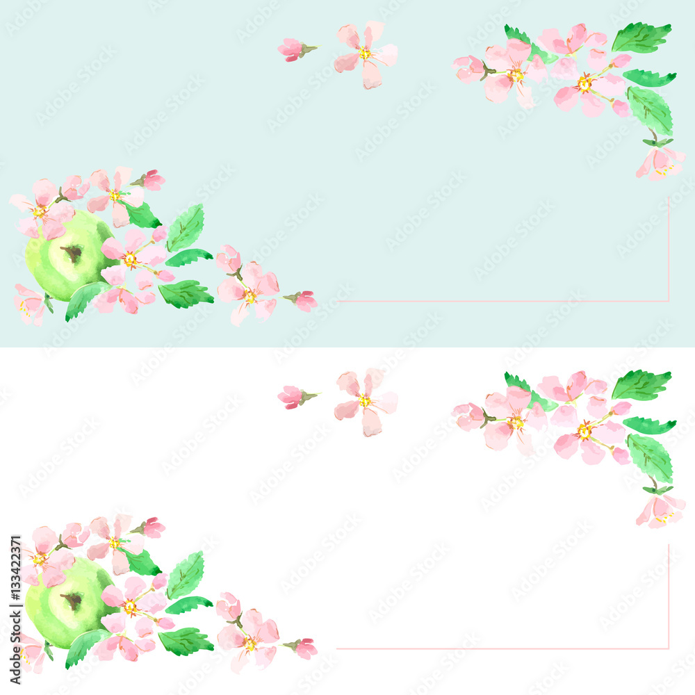 Apple blossom apple background, card, label. Vector watercolor technique