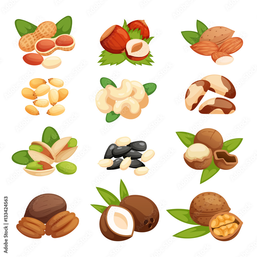 Set of nuts vector illustration. Set of nuts vector illustration.