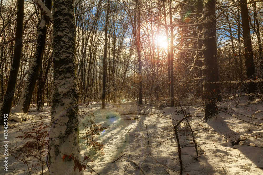 Fototapeta premium Winterzauber