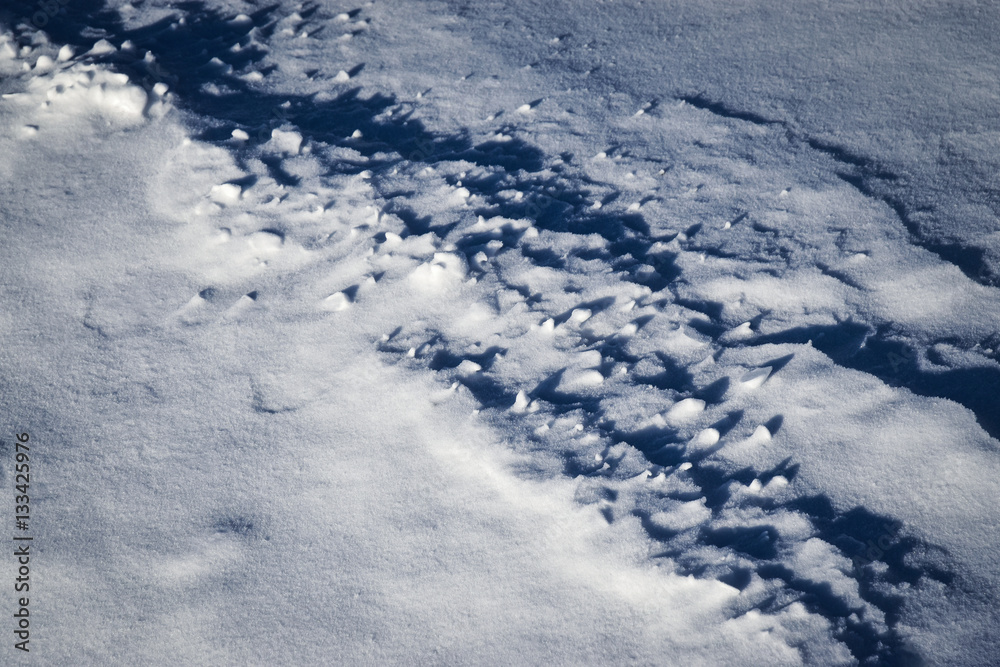shadows on the snow field shadows on the snow field