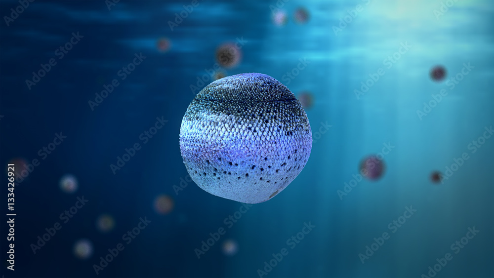 super high res abstract fish ball