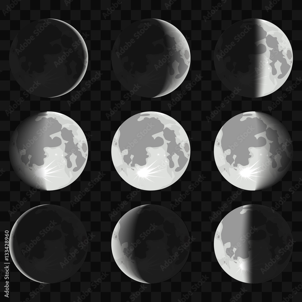 Different Phases Of Moon On Transparent Background Vector Stock