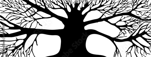 Vector. Graphic representation of the silhouette black tree on a white background.  horizontal abstract graphic banner wood.