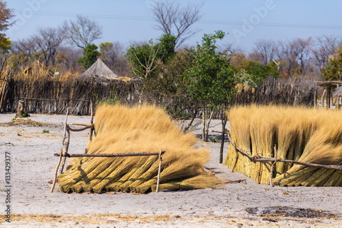 Mud straw and wooden hut with thatched roof in the bush. Local village in the rural Caprivi Strip, the most populated region in Namibia, Africa.