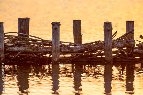 Ecological Willow campshedding riverbank protection photo