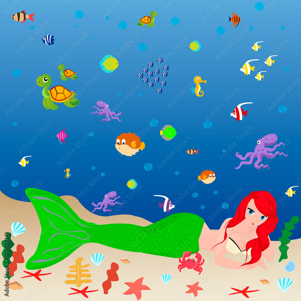 marine wildlife and a mermaid marine wildlife and a mermaid