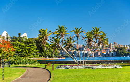 Royal Botanical Garden of Sydney - Australia, New South Wales