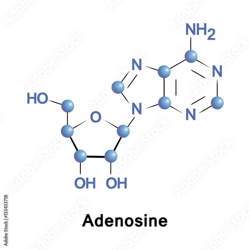 Adenosine is a purine nucleoside composed of a molecule of adenine attached to a ribose. It plays a role in biochemical processes, such as energy transfer as well as in signal transduction cAMP.
