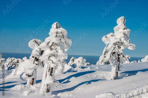 Harz