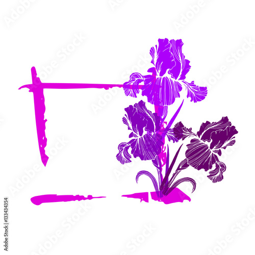 Fototapeta Naklejka Na Ścianę i Meble -  flower, iris, nature, floral, plant, vector, summer