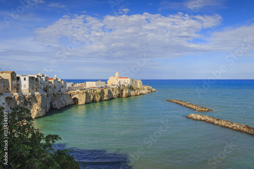 Gargano coast  bay of Vieste.- Apulia  ITALY-Panoramic view of the old city.