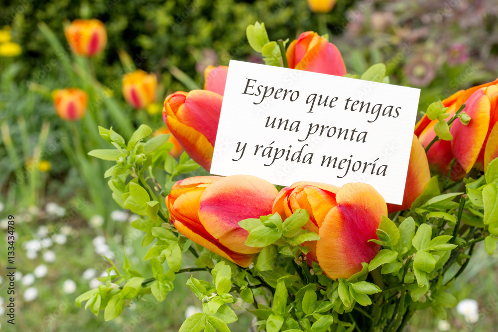 speedy recovery / Greeting card with tulips and spanish text: I hope ...