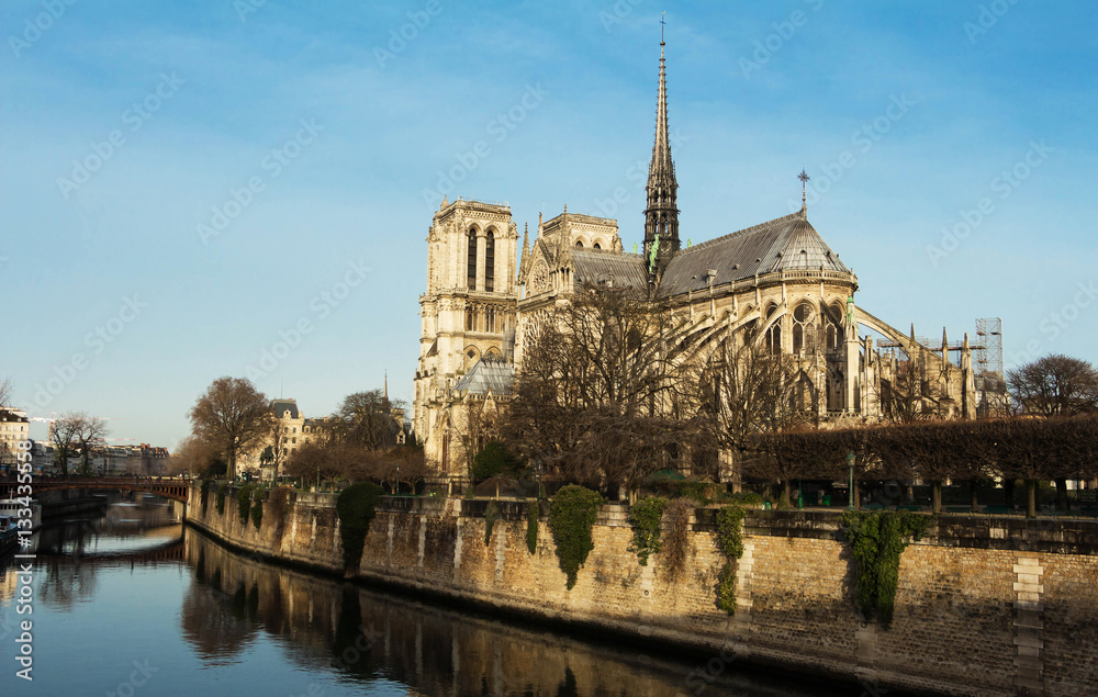 The Notre Dame Catholic cathedral at night, Paris,France.