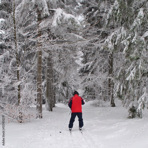 Narciarz biegowy w zimowym lesie