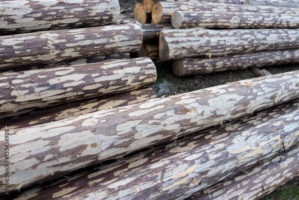Pile of wood logs ready for winter Pile of wood logs ready for winter