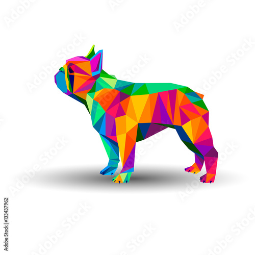 dog, vector, breed, cute, pet, animal, bulldog