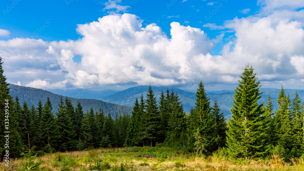 meadow in mountains