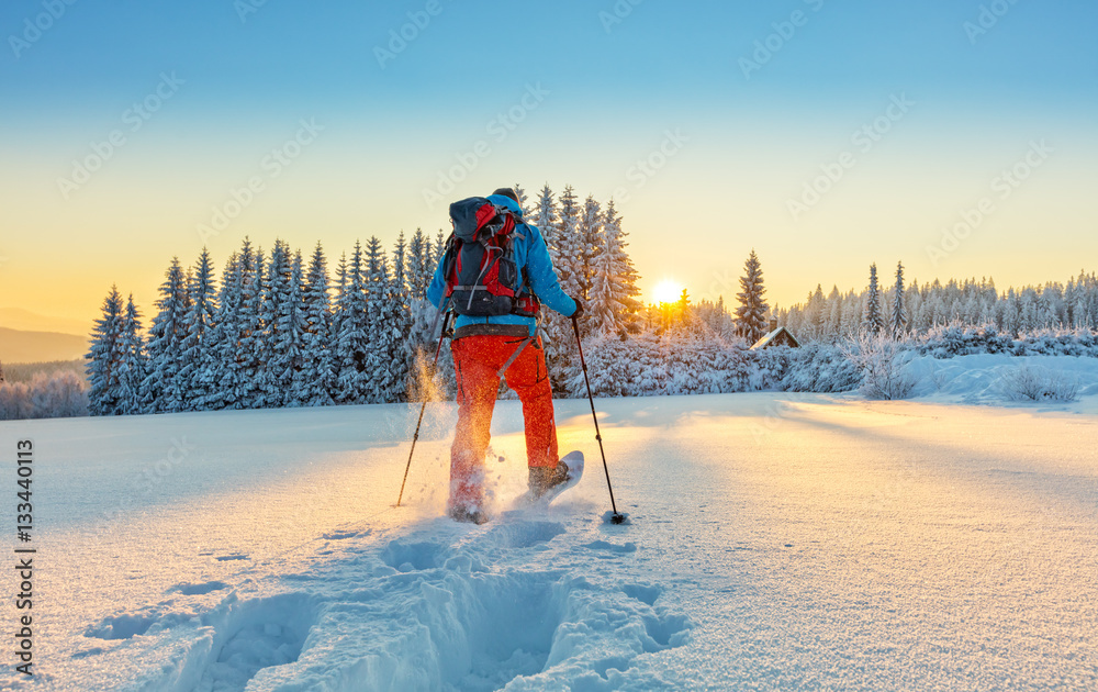 Snowshoe walker running in powder snow - obrazy, fototapety, plakaty 