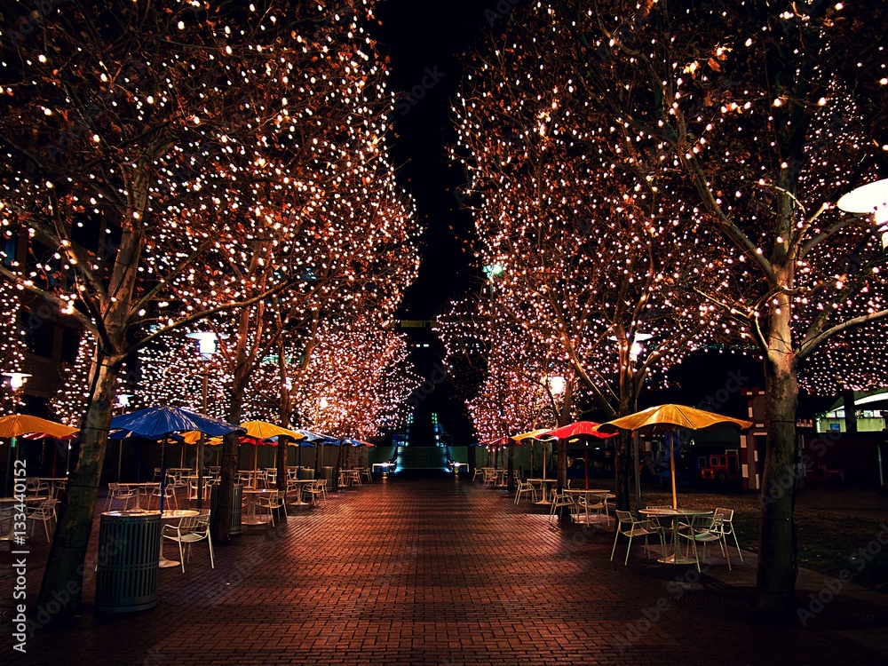 Fotografie Kansas City Christmas