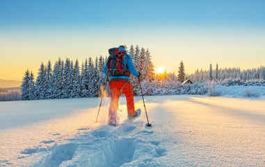 Fotobehang Wintersport Sneeuwschoenwandelaar in poedersneeuw  © Jag_cz