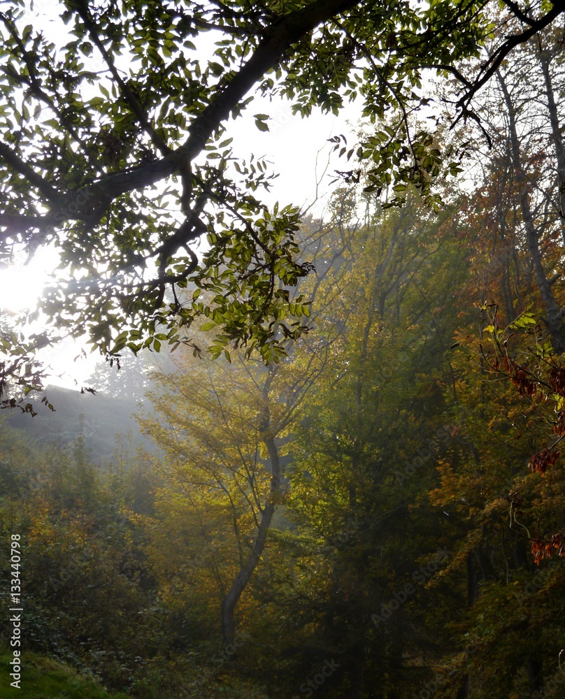 Herbststimmung Herbststimmung