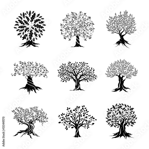 Beautiful oak trees silhouette set
