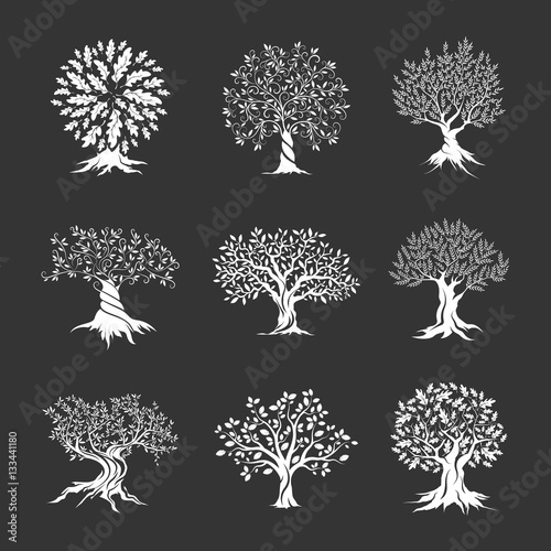 Beautiful oak trees silhouette set