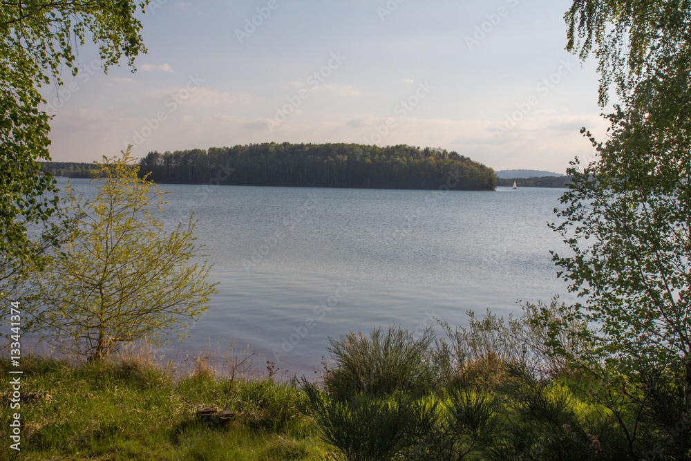 lake in spring