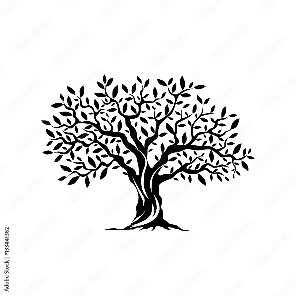 Olive tree silhouette icon isolated on white background. Olive tree silhouette icon isolated on white background.