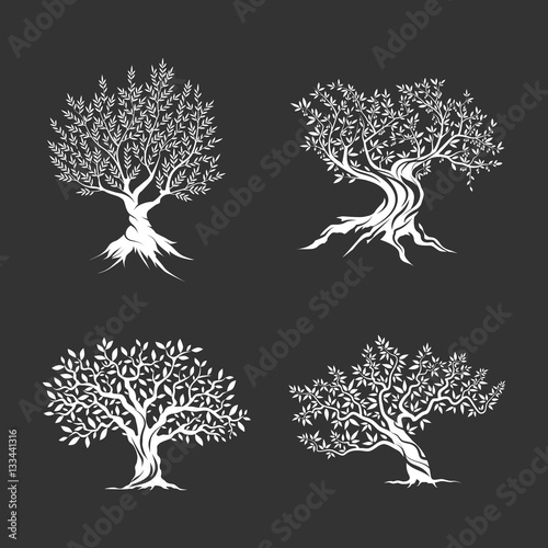 Olive trees silhouette icon set isolated on dark background