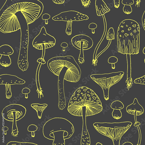 Seamless pattern with Forest mushrooms - vector outline hand drawn sketch. Collection of different mushrooms with roots, real eatable and poisoned boletus