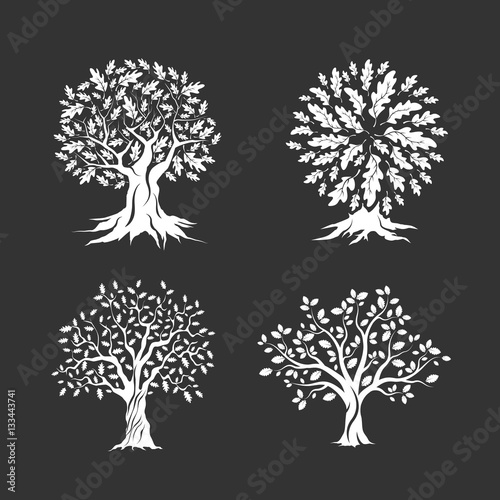 Beautiful oak trees silhouette set