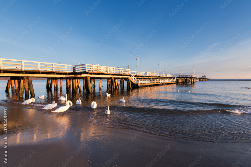 View from the beach to the pier in sunny morning. Sopot, Poland.
