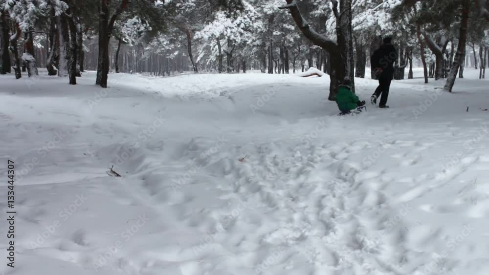 Grandpa rolls his little grandson of the snowy winter forest on a sledge Grandpa rolls his little grandson of the snowy winter forest on a sledge