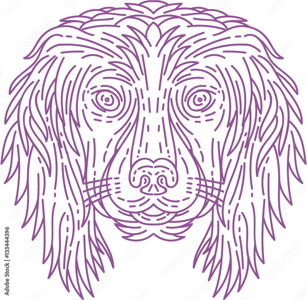 English Cocker Spaniel Dog Head Mono Line English Cocker Spaniel Dog Head Mono Line