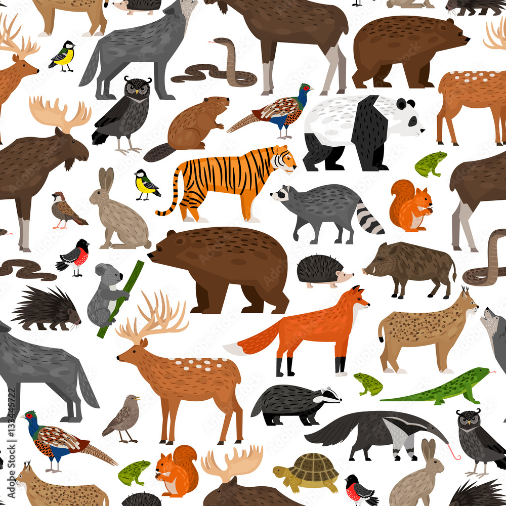 Obraz premium Seamless pattern with forest animals 