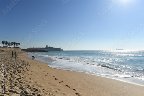 People with dogs on the beach