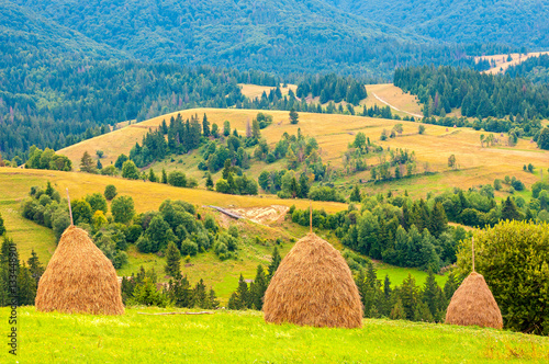 Three haystacks on beautiful summer plateau in Carpathian mountain photo
