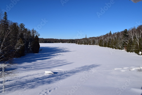 Snow-covered lake and forest