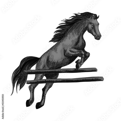 Horse jumping over barrier equine sport horserace